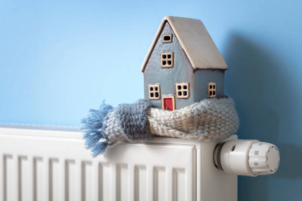 istockphoto-1456166365-612x612